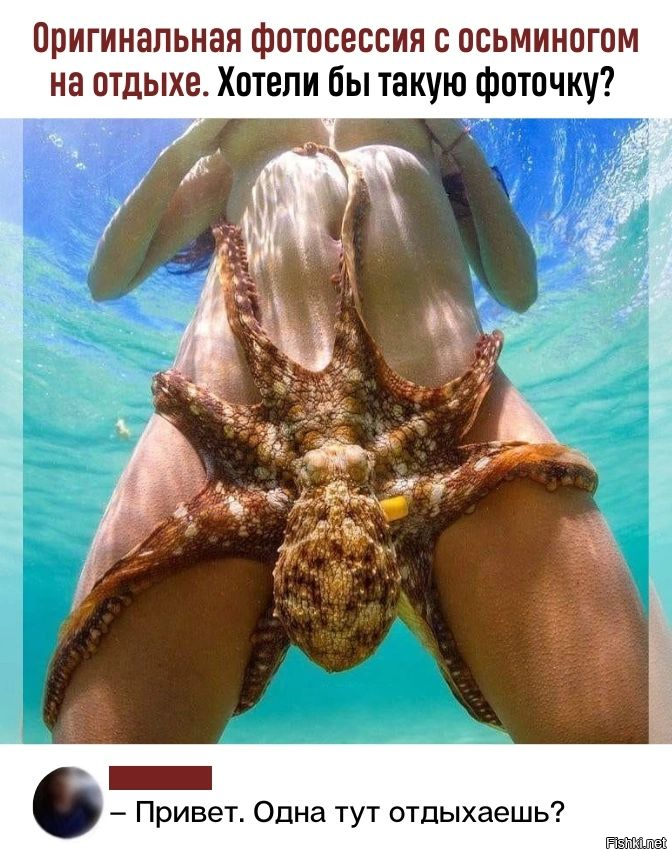 Солянка от 02.02.2026