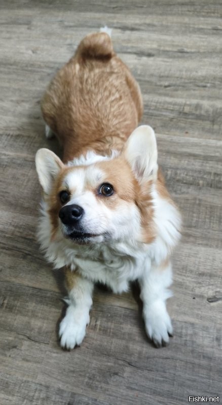 Показал своей.Так посмотрела на меня что я понял не царское это дело самой себе резинками  стрелять