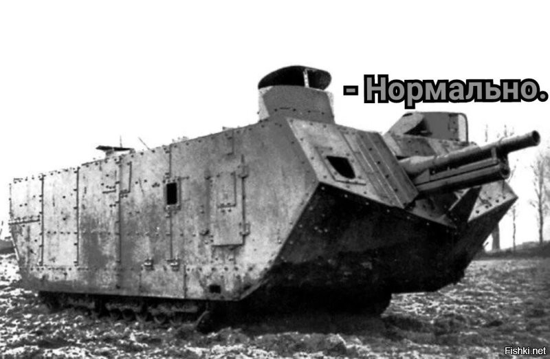 Смешные картинки
