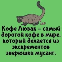 Одним из самых дорогих сортов кофе до последнего времени считался кофе «Kopi Luwak», полученный путем ферментирования кофейных ягод в желудках малайских пальмовых куниц. Но к концу 2023 года этот статус  по праву перешел к кофе, который называется «Черный бивень». Название бренда Black Ivory («Блэк Айвори») переводится с английского как «черная слоновая кость». Название его отражает суть процесса «производства» этого кофе. Получают его с помощью ферментации кофе в желудках серых великанов – слонов: они проглатывают кофейные ягоды арабики, проходя по пищеварительному тракту, кофейные ягоды обрабатываются желудочным соком и в результате получается кофейное зерно.