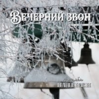 Случай на турнире по средневековому бою