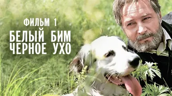 Сам сильный фильм с плохим концом.
Который не смог посмотреть второй раз.
Это советский "Белый Бим, черное ухо".