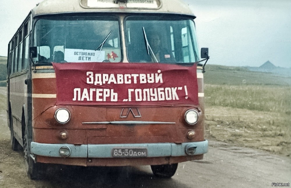 Пионерский лагерь Голубок был в городе Дебальцево.