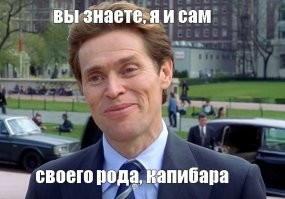 В Японии состоялся конкурс купания капибар