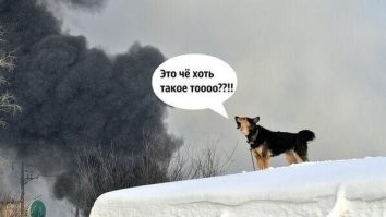 Забавная реклама для Супербоула со звёздами оригинального «Парка Юрского периода»
