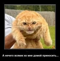 15 ситуаций, когда людей постигло невезение