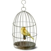 Ну вот, кстати о птичках.
Заснет - значит утечка.