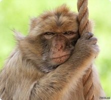 Женщина отказалась избавляться от волос на теле, утверждая, что без них чувствует себя голой