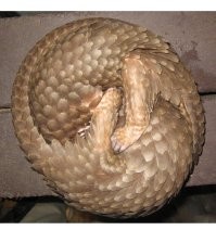 Напугали, ироды!