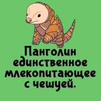 Пи39ежь и провокация. У бобра хвост тоже в чешуе.