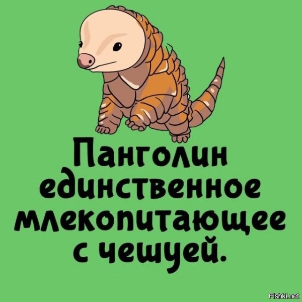 Пи39ежь и провокация. У бобра хвост тоже в чешуе.
