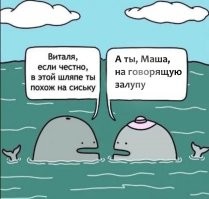 Скрины из соцсетей