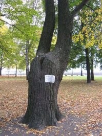 Памятник неизвестной парашютистке, Кронштадт.