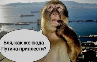 Короче, Дейли Мэйл смогли таки приплести...