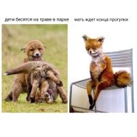 Не ищите здесь смысл. Здесь в основном маразм