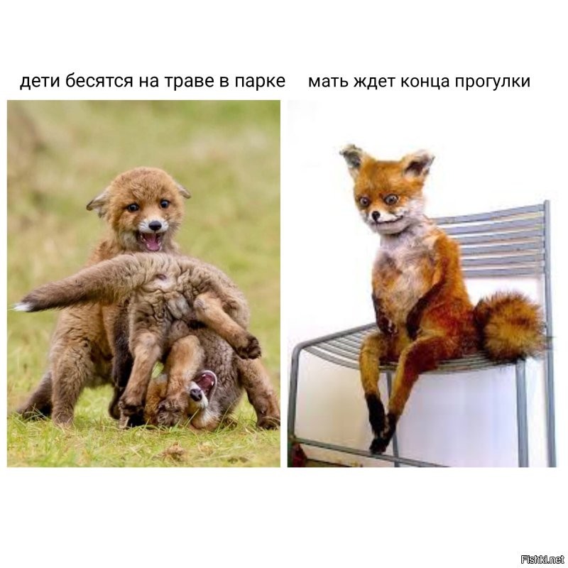 Не ищите здесь смысл. Здесь в основном маразм