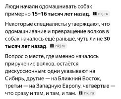 Ну дык, у собак выслуга лет больше.