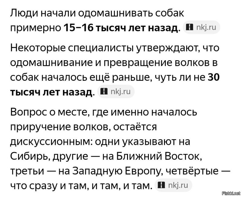 Ну дык, у собак выслуга лет больше.