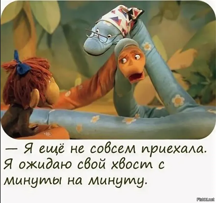 Самка питона из Индонезии стала самой длинной змеей в мире