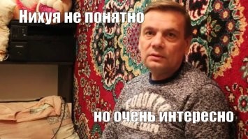 Девушка в Австралии достала из автомобиля крупного паука