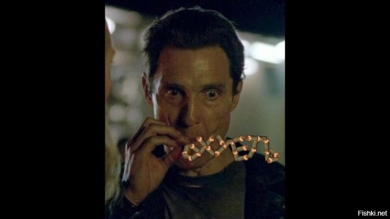 Девушка в Австралии достала из автомобиля крупного паука