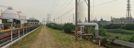 Ловец игуан оставил без света три нефтехимических завода