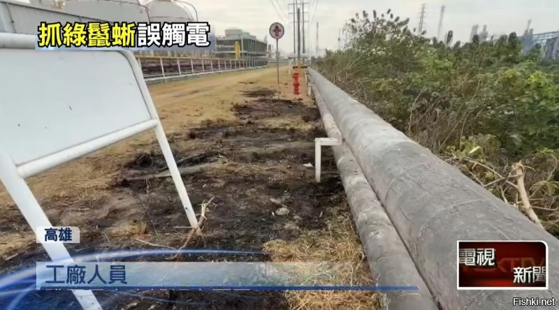 Ловец игуан оставил без света три нефтехимических завода