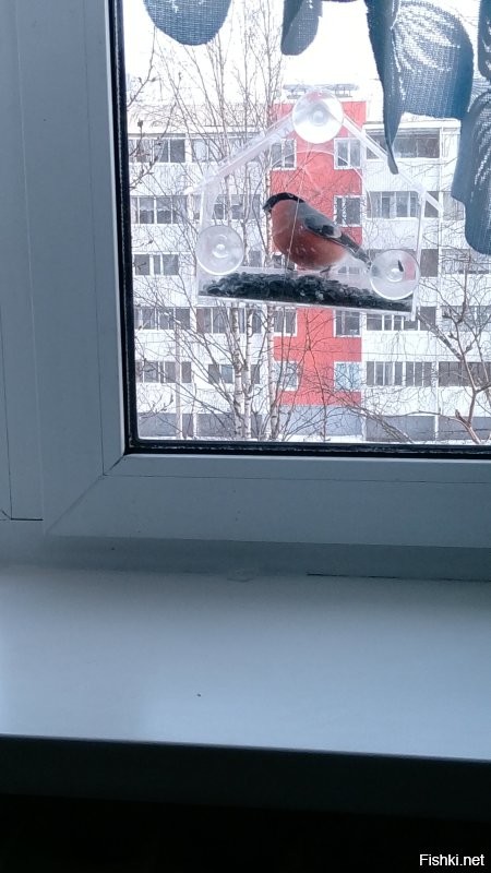 Солянка от 05.02.2026