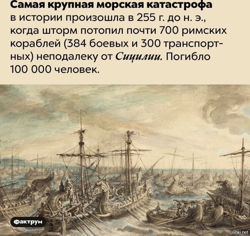 Солянка от 05.02.2026