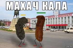 В Махачкале лев напал на прохожего, пытавшегося с ним поиграть