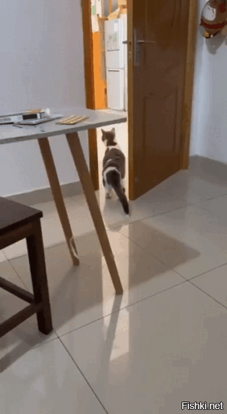 Гости с детьми пришли?
)))