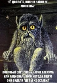 Девушка в Австралии достала из автомобиля крупного паука