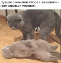 Скрины из соцсетей