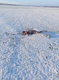 Обратная сторона