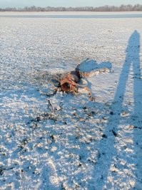 Обратная сторона
