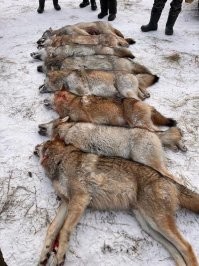 Обратная сторона