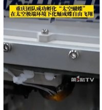 Серьёзно? Собрано на сопли и термоклей? Космический диайвайщик с Алиэкспресс.