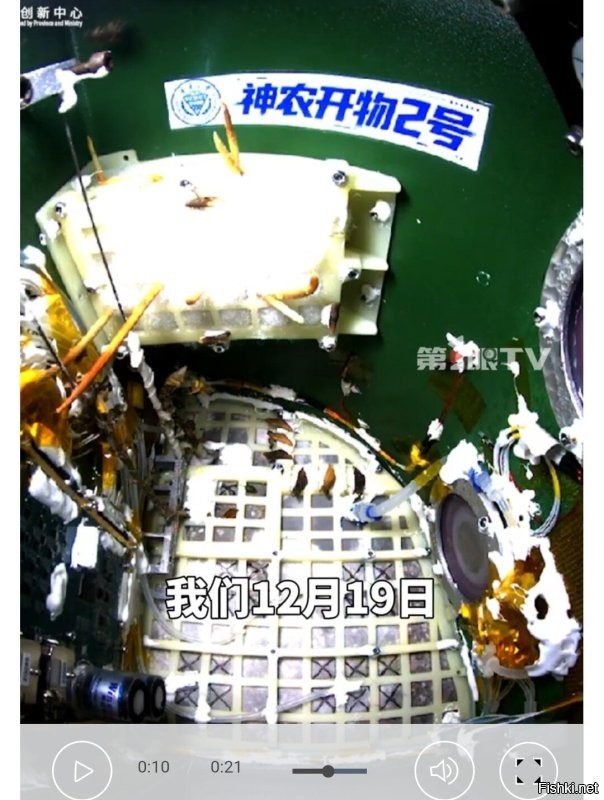 Серьёзно? Собрано на сопли и термоклей? Космический диайвайщик с Алиэкспресс.