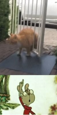 Просто гифки, всякие и&nbsp;разные