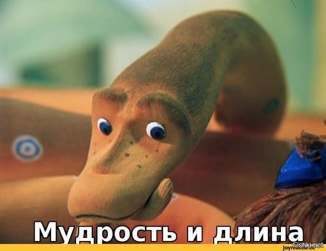 Самка питона из Индонезии стала самой длинной змеей в мире
