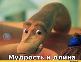 Самка питона из Индонезии стала самой длинной змеей в мире