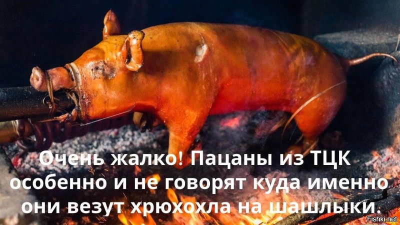 Жалко хрюню