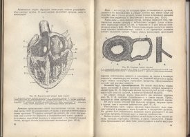 Вот нашёл учебник для 8-го класса. (подобрал его на мусорном ящике...).
