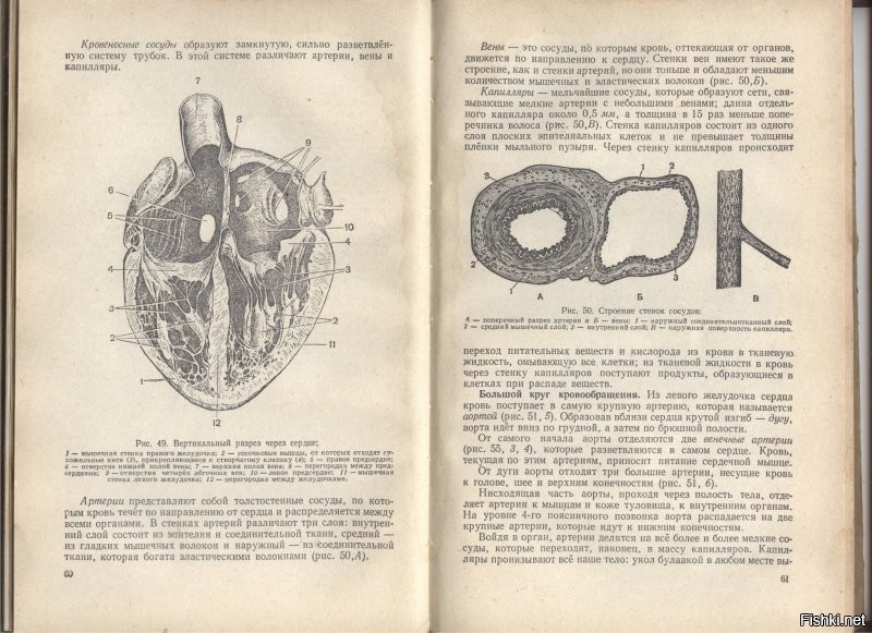 Вот нашёл учебник для 8-го класса. (подобрал его на мусорном ящике...).