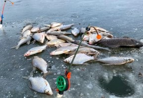 Фигуристы пусть идут на специально оборудованные места.. а лед оставят для другого хобби :)