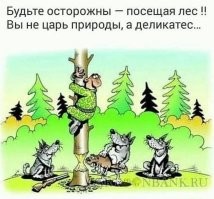 Раненый ягуар приплыл прямо к людям