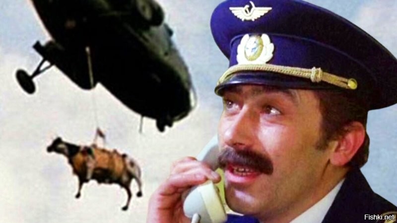 Свинья на дроне оставила без света жителей китайской деревни