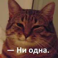 Ловец игуан оставил без света три нефтехимических завода