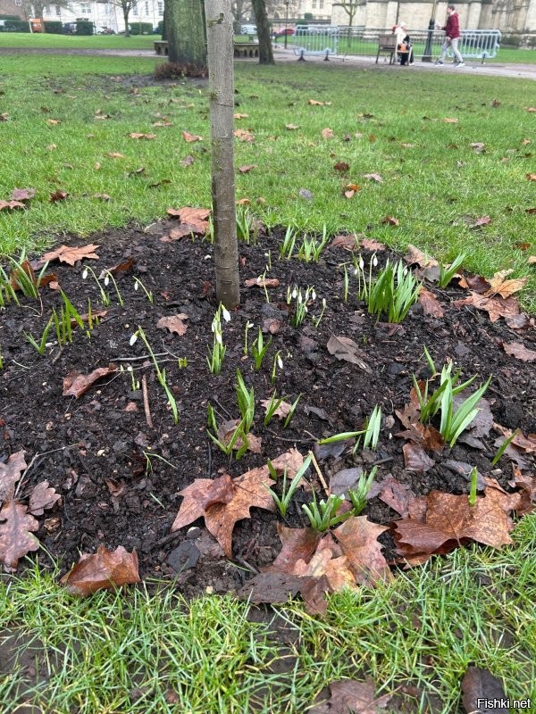 Это Йорк, старинный красивый английский город...