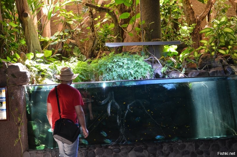 Братан, я уже с Канар вернулся.
А ты как? Всё опять  плохо, да?